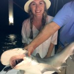 Shark Fishing Panama City Beach - PC FLFishing Charters